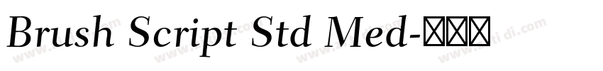 Brush Script Std Med字体转换